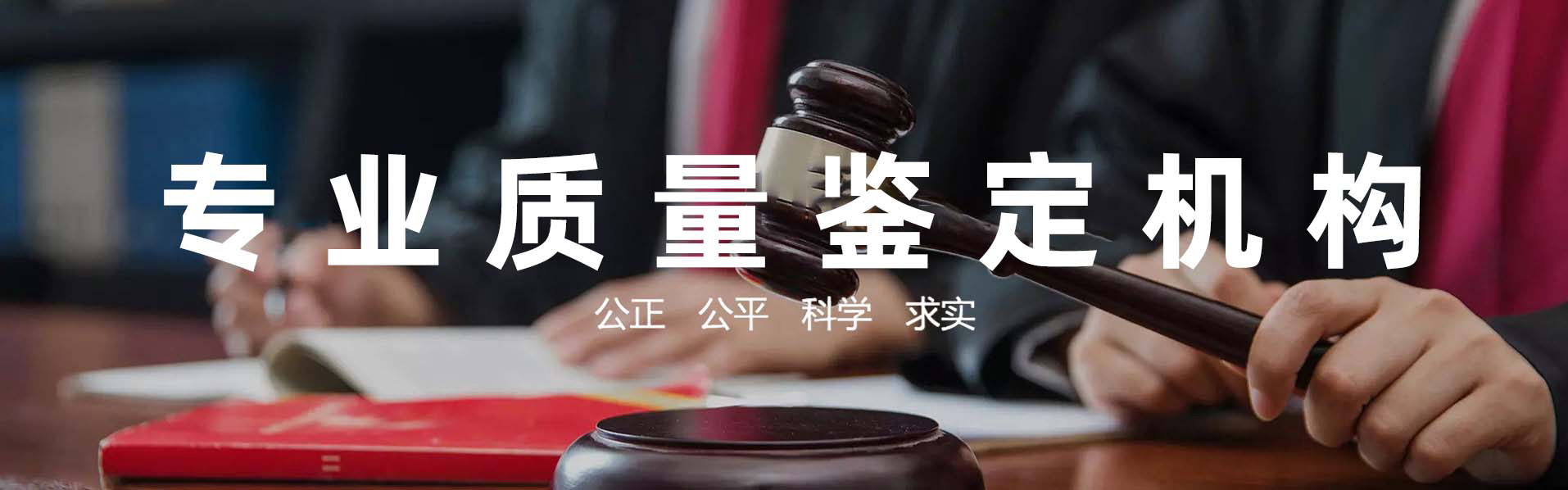 业务范围